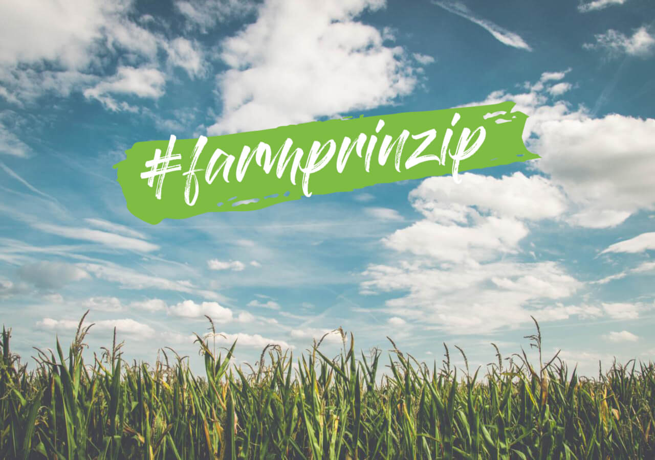 #farmprinzip – Maïsveld